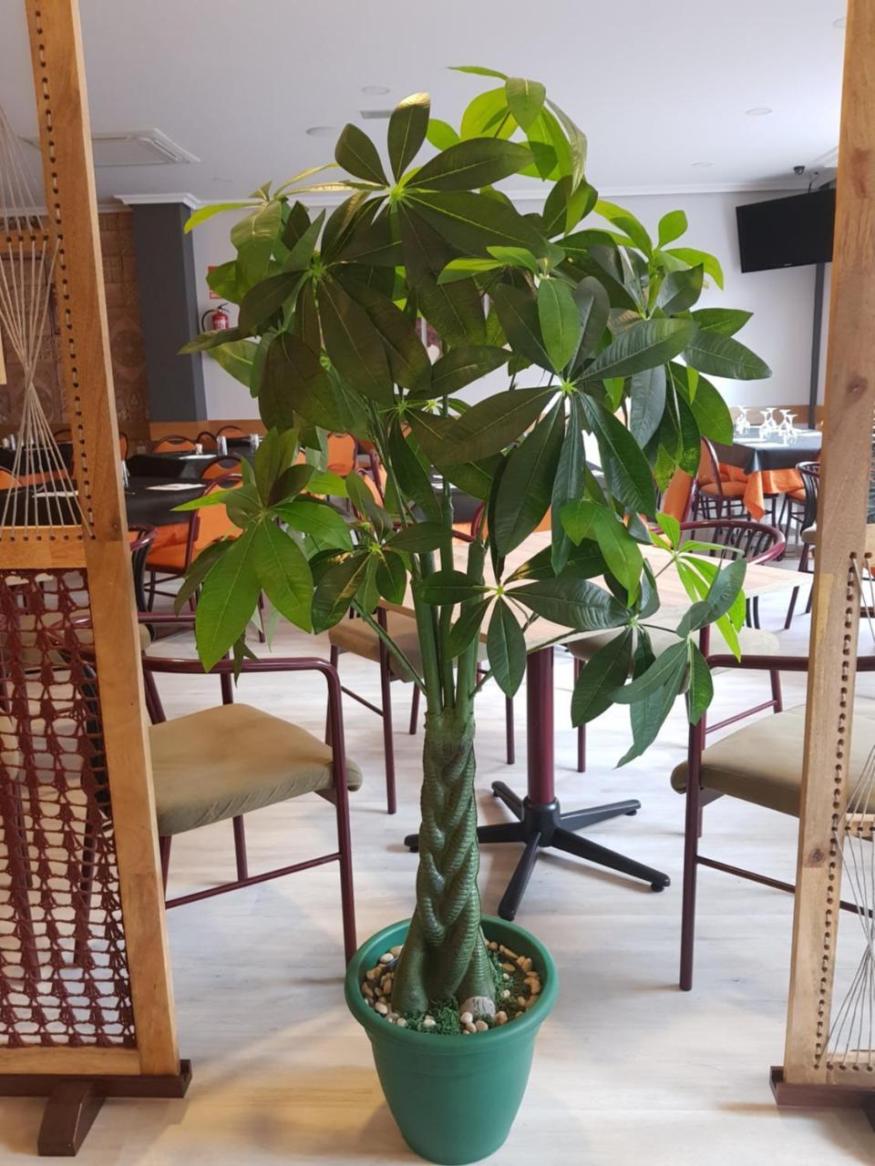 Hostal Restaurante El Abuelo Тробахо-дель-Камино Экстерьер фото